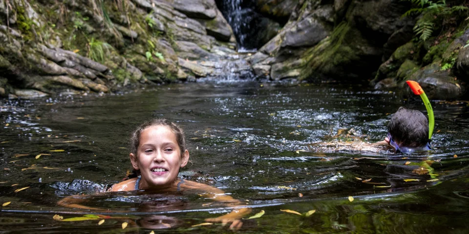 Forest pool at Jubilee Creek.