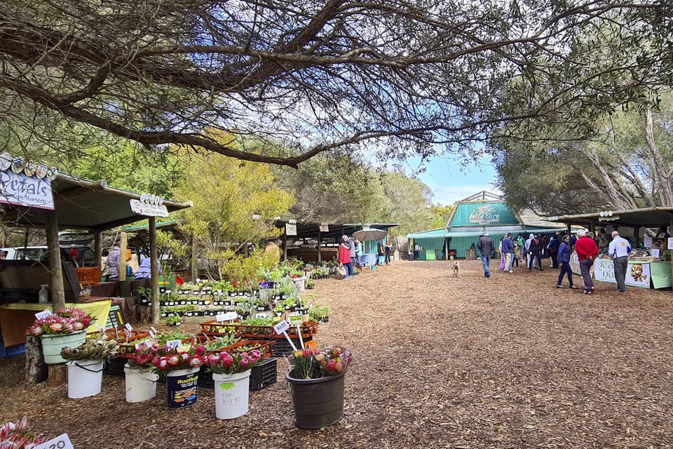 Wild Oats Community Farmers’ Market — reference photograph of the place.