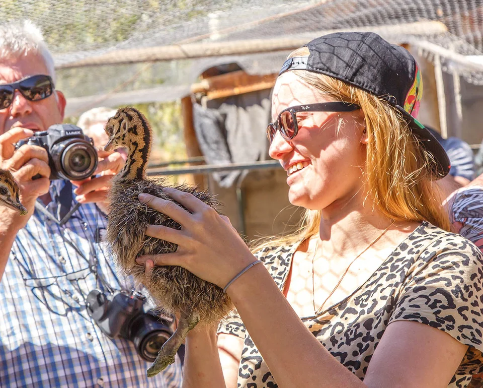 Highgate Ostrich Show Farm — reference photograph of the place.