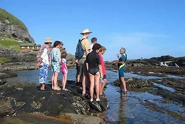 Storms River Mouth and Suspension Bridges — reference photograph of the place.