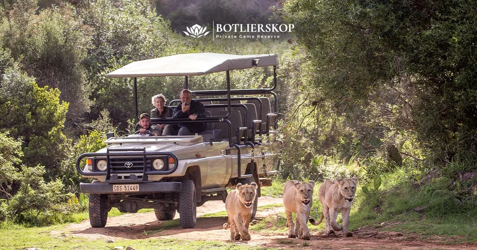 Botlierskop Day Safaris — reference photograph of the place.