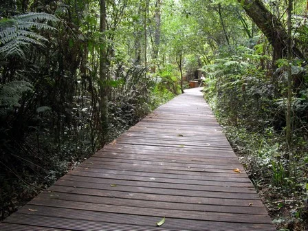 Garden of Eden boardwalk, from the route photo gallery.