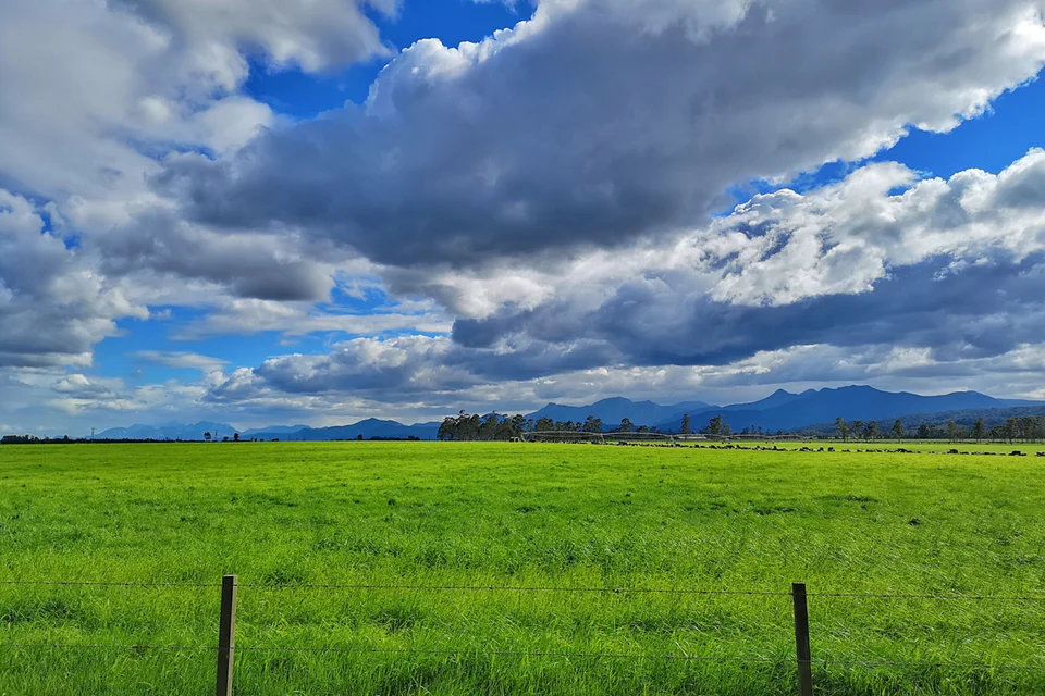 Rheenendal forest and countryside — regional context, not the Red Barn farm. Replace with a verified farm photograph before website publication.