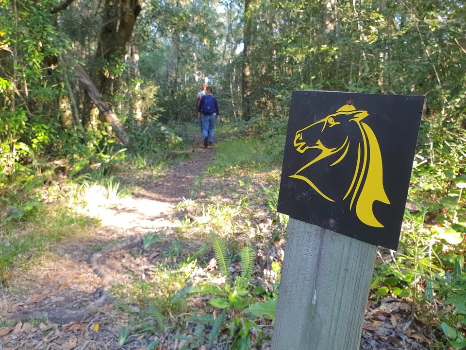 Perdekop trail scene at Harkerville.