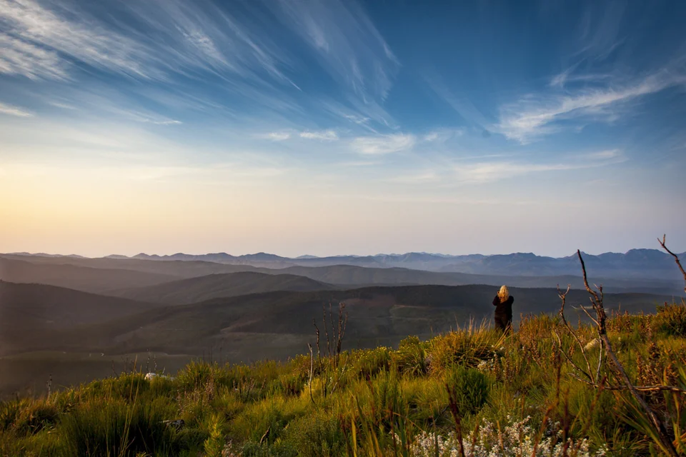 Spitzkop Forest Viewpoint — reference photograph of the place.