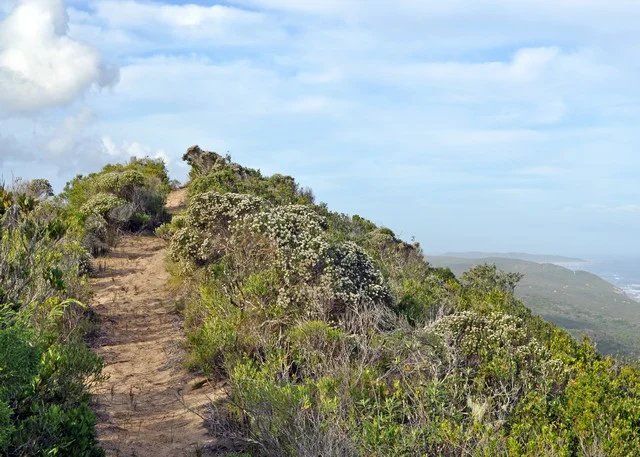 Blombos route scenery from the trail photo gallery.