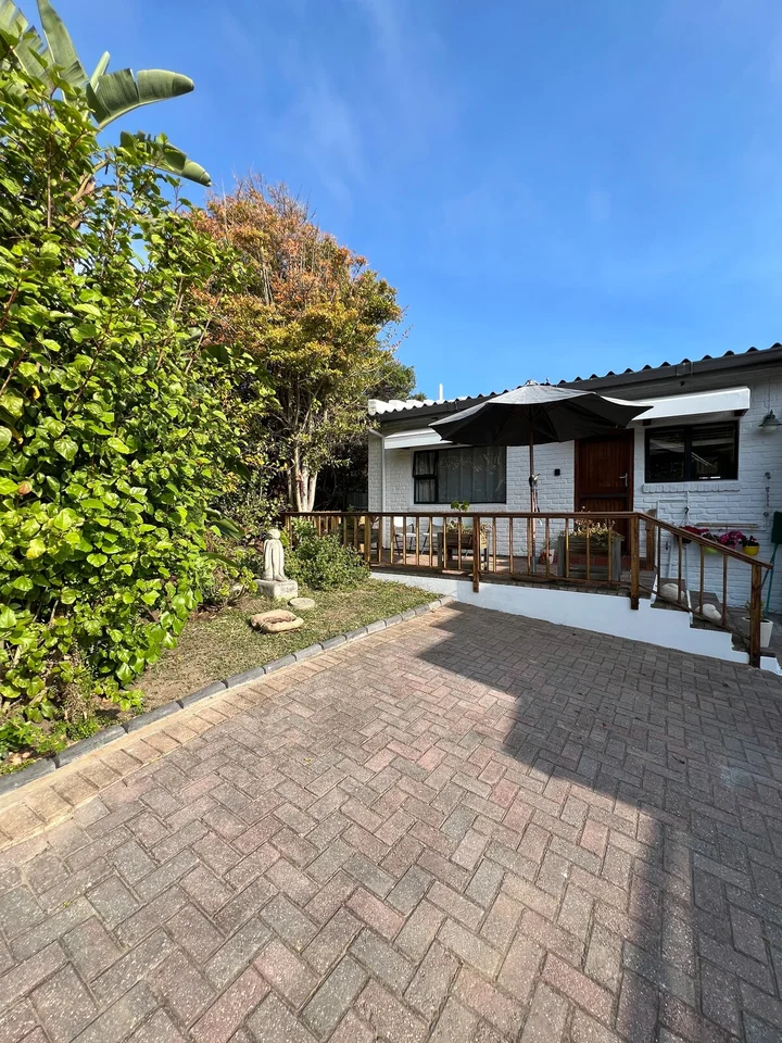 Backyard image 1